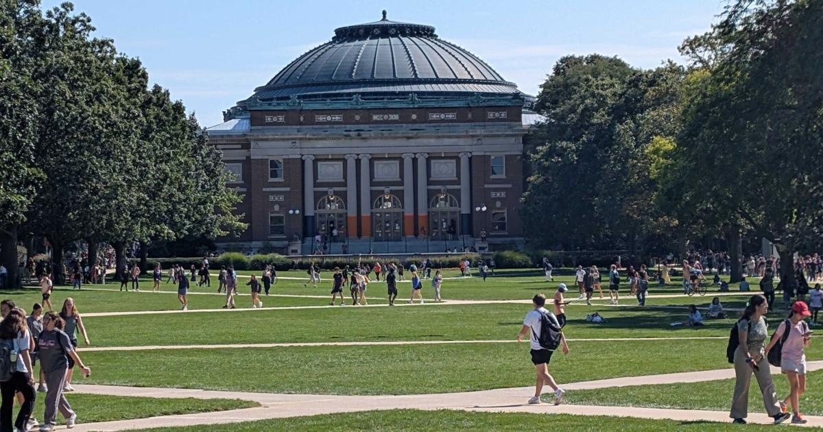 Runaway cow safely recovered after roaming University of Illinois Urbana-Champaign campus