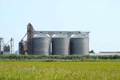 Grain silo
