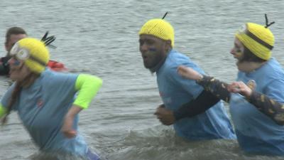 Polar Plunge