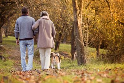 Seniors walking in fall, dog, elderly
