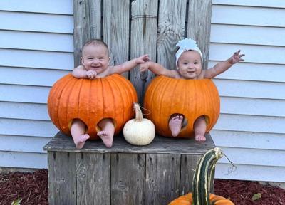 UGC Pumpkin babies