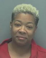 Deputies: Florida woman made threats with machete, pooped in police vehicle