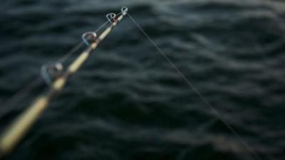 Fish and wildlife found dead in and around Iroquois County creeks