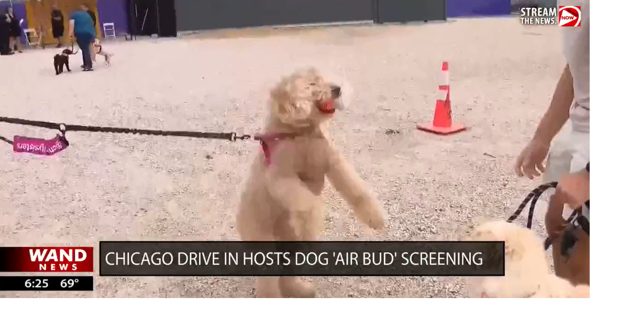 Popcorn and pooches! Drive-In hosts movie night for the dogs