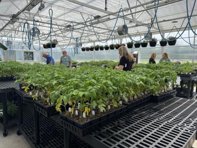 Richland Community College greenhouse
