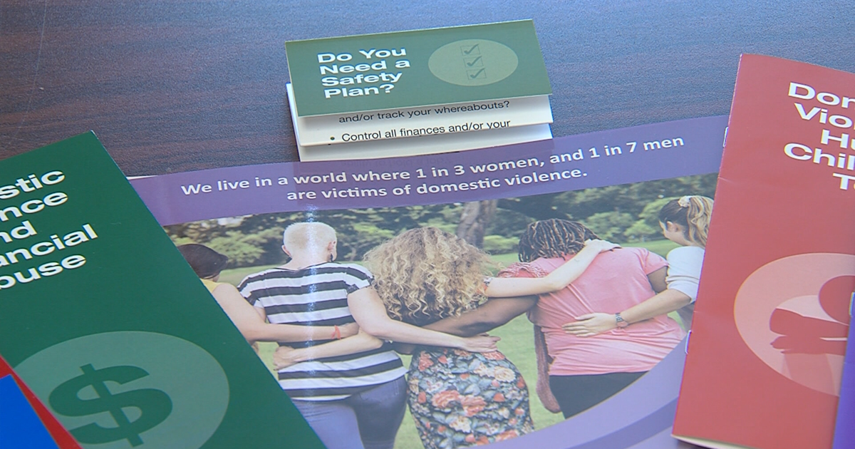 Domestic violence survivor protection plans on Pritzker's desk