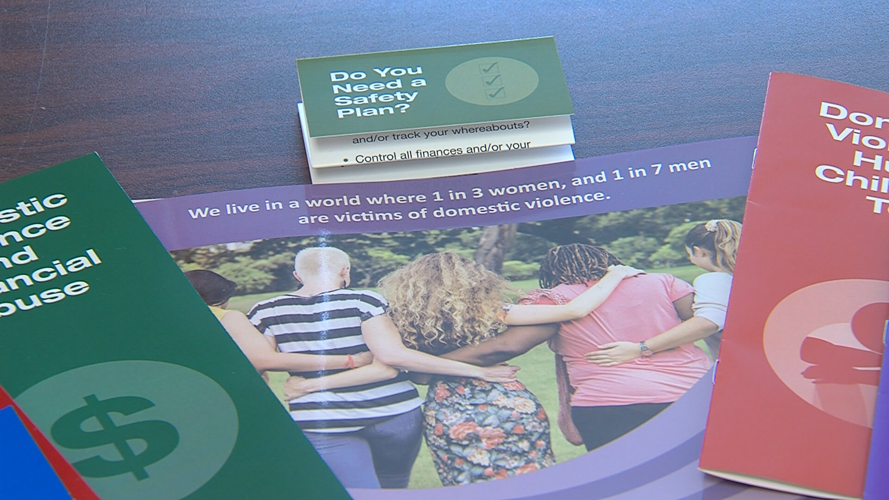 Illinois Domestic Violence