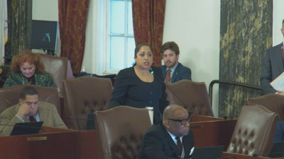 Sen. Celina Villanueva