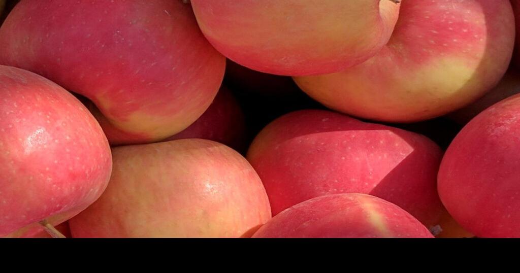 Apple and Pork Festival returns to Clinton this weekend Community