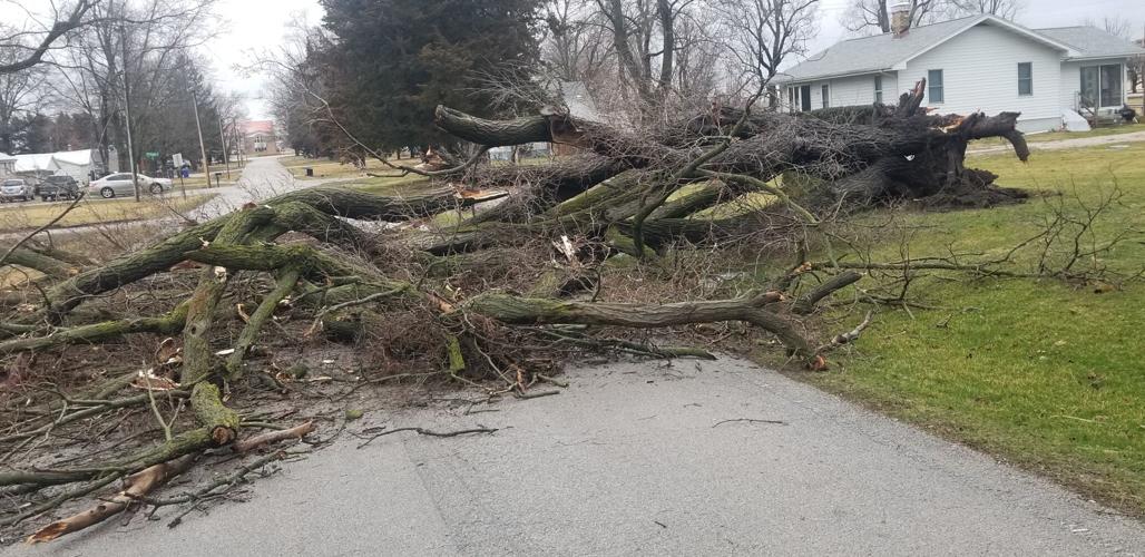 March 3 Storm Damage