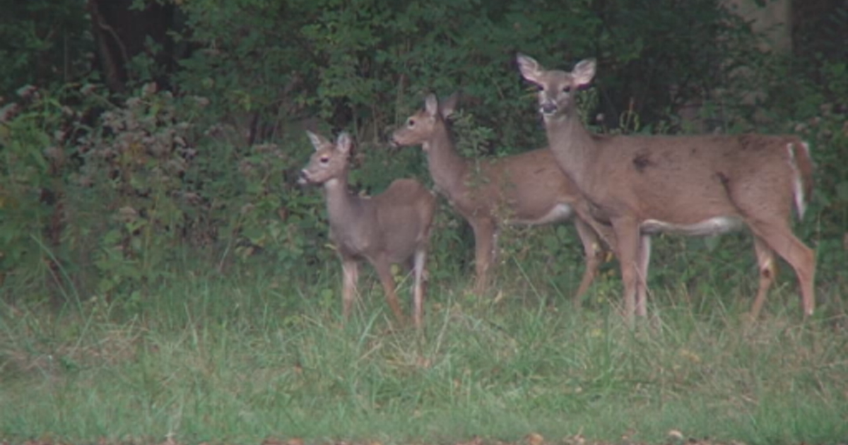 Pritzker signs bill helping farmers, landowners with nuisance deer control
