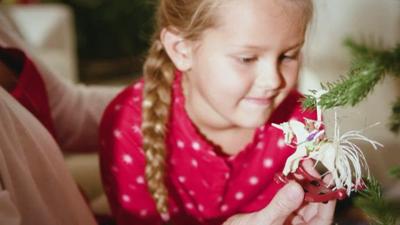 Hallmark Ornament