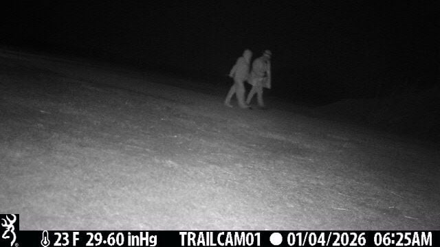 Menard Co. asks public help after storage break-in, cameras cut down