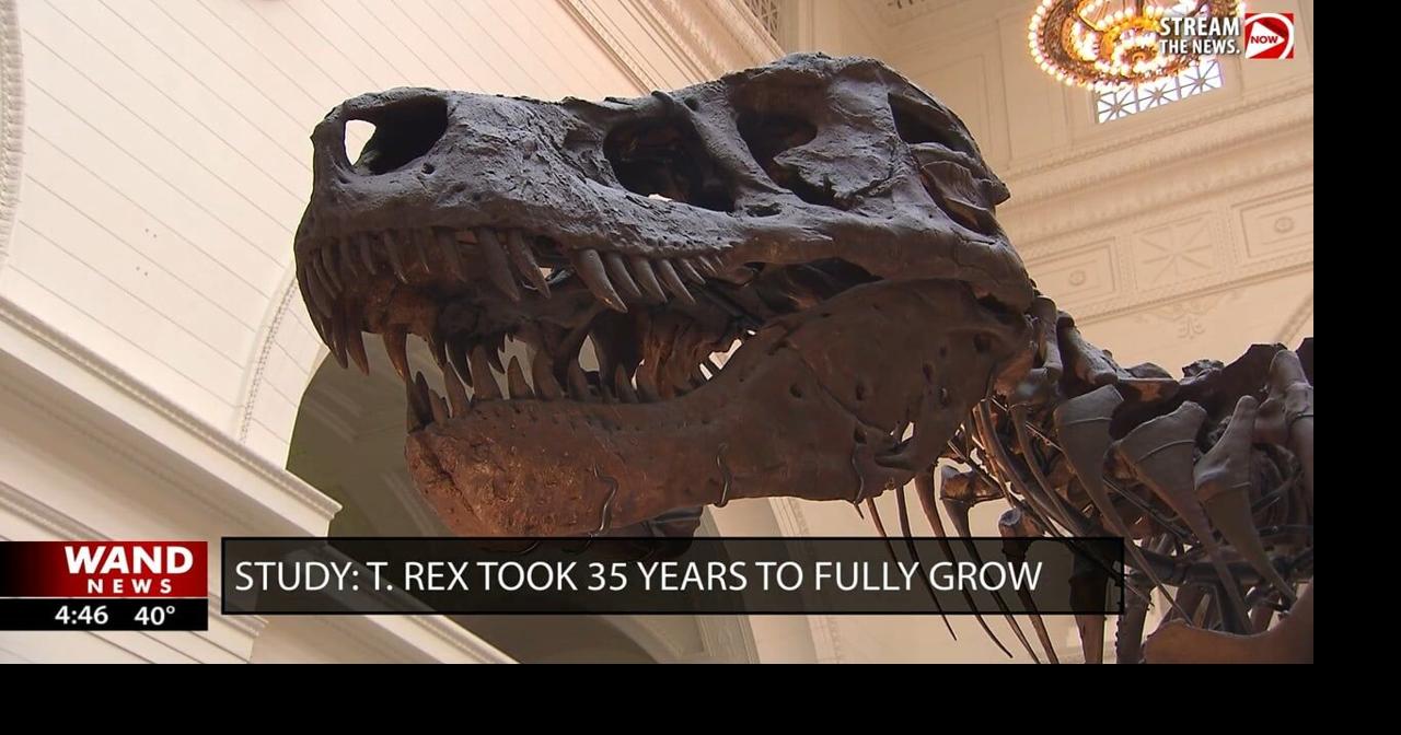 Study: T-Rex took around 35 years to fully grow