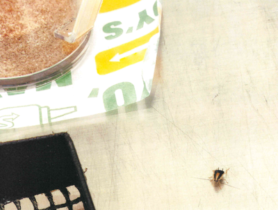 Subway Health Department Inspection Sept. 2024.PNG