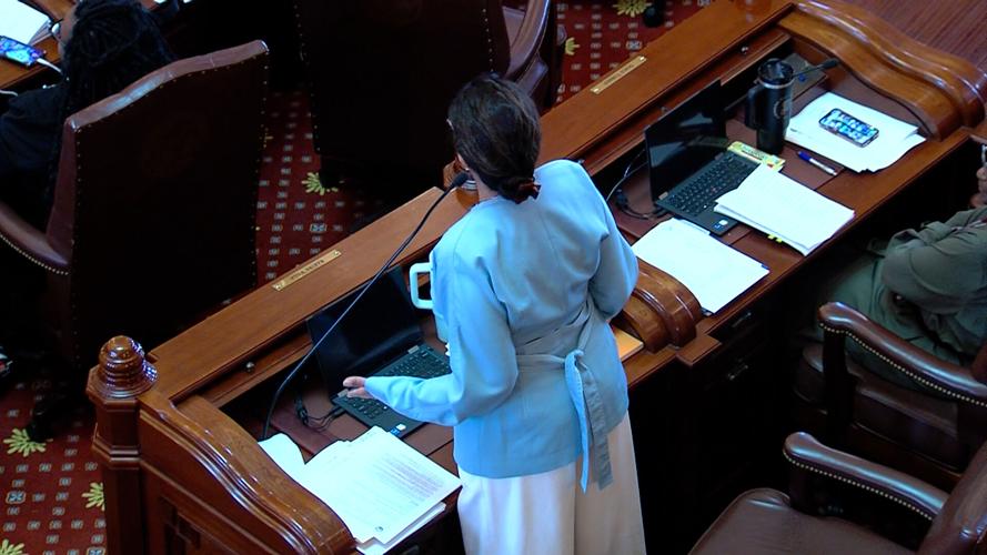 Sen. Karina Villa