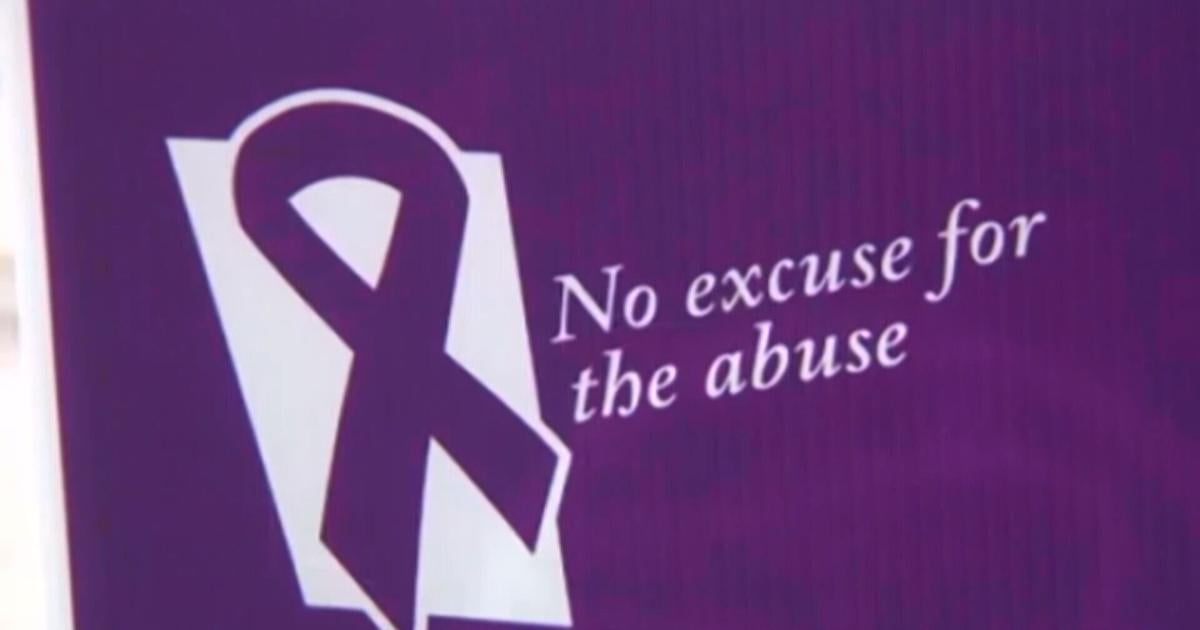 New Illinois law calls for domestic violence lethality assessment to help survivors