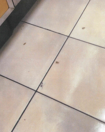 Subway Health Department Inspection Sept. 2024 7.PNG