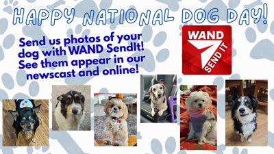 National Dog Day 2025