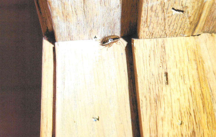 Subway Health Department Inspection Sept. 2024 4.PNG