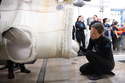 Beluga Whale Rescue