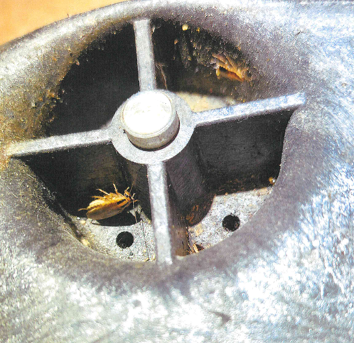 Subway Health Department Inspection Sept. 2024 2.PNG