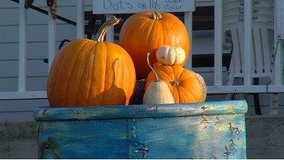 The Secret Story Behind Black Bart's Pumpkin Patch