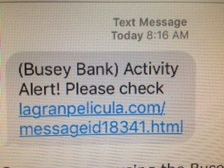 Busey Text Scam