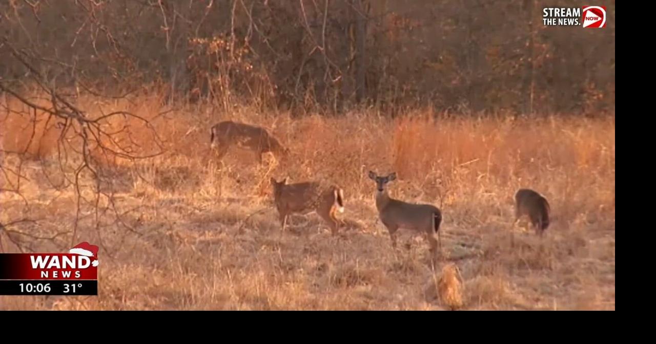 New IL law helps farmers, landowners with nuisance deer control