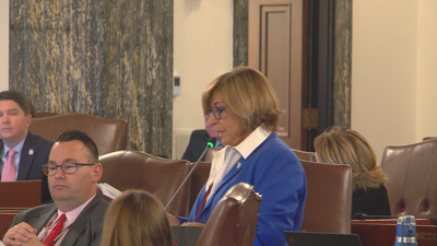 Sen. Sara Feigenholtz