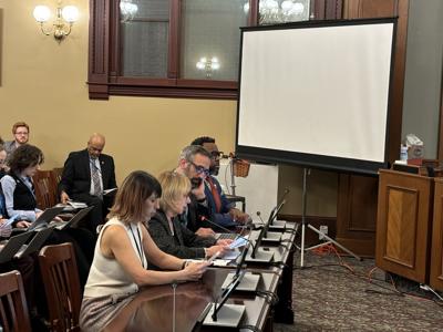 Illinois House budgeteers