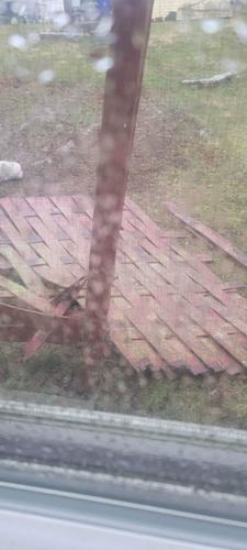 March 3 Storm Damage