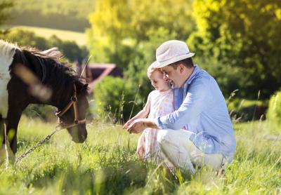 Pony, family farm