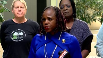Rep. Carol Ammons