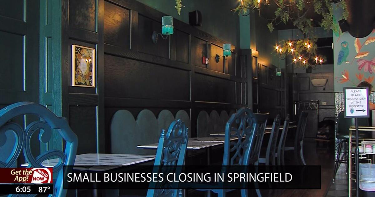 Small businesses in Downtown Springfield continue to close