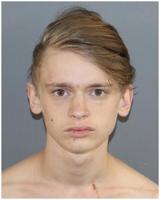 Animal torture suspect arrested in Mattoon