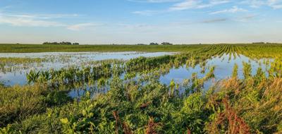 Illinois crop damage