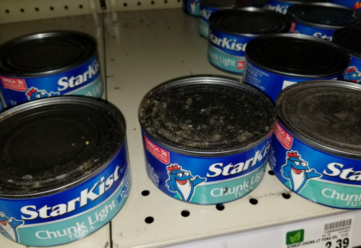 Kroger infestation 6.PNG