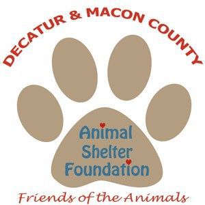 Decatur And Macon County Animal Shelter Foundation Celebrating Pets Birthdays Top Stories Wandtv Com