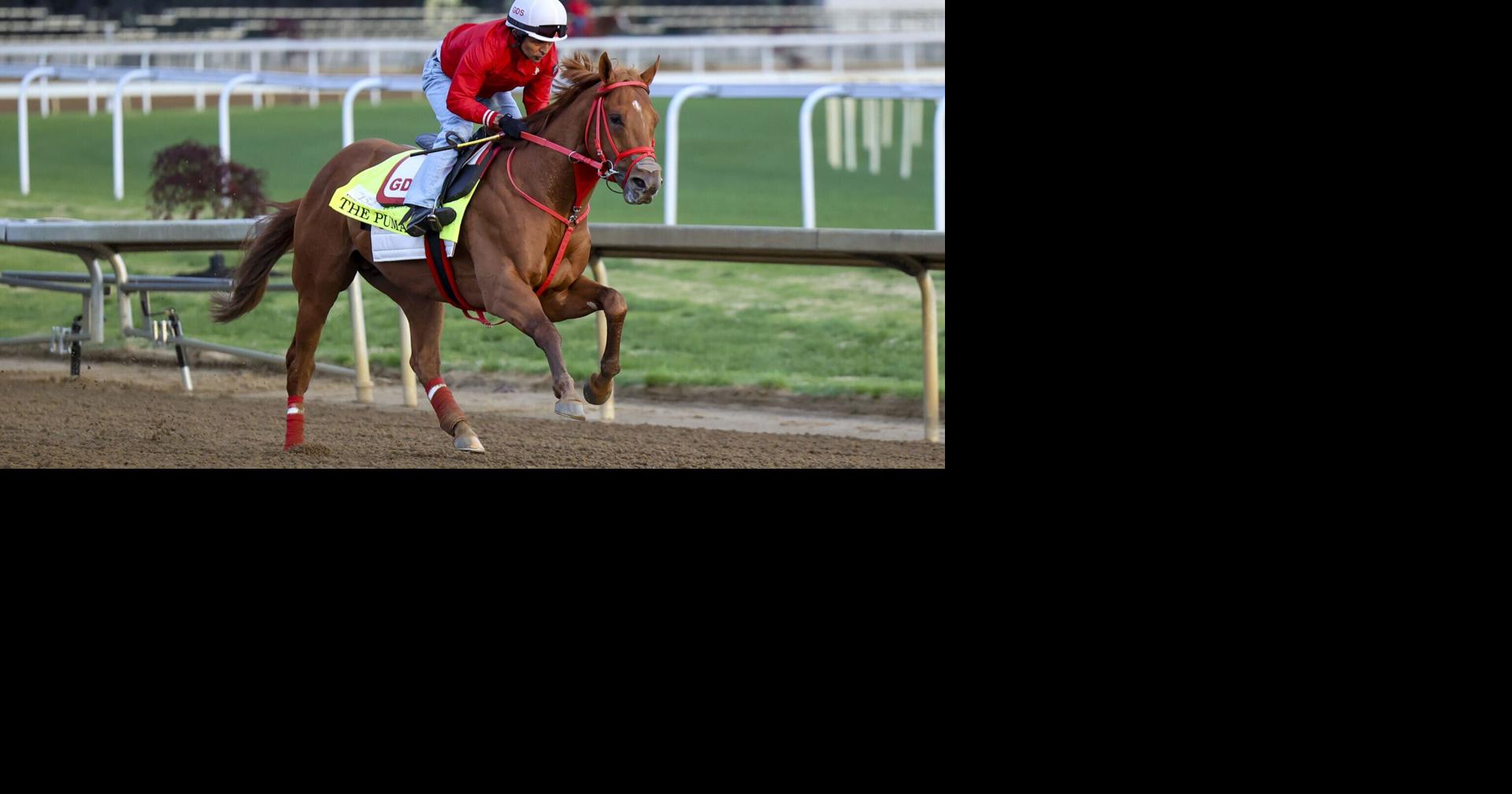 Read moreThe Puma scratches from Kentucky Derby 152 Saturday morning