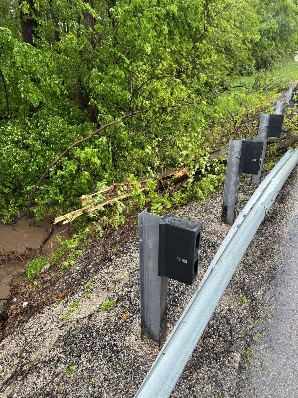 Trees down in Christian County