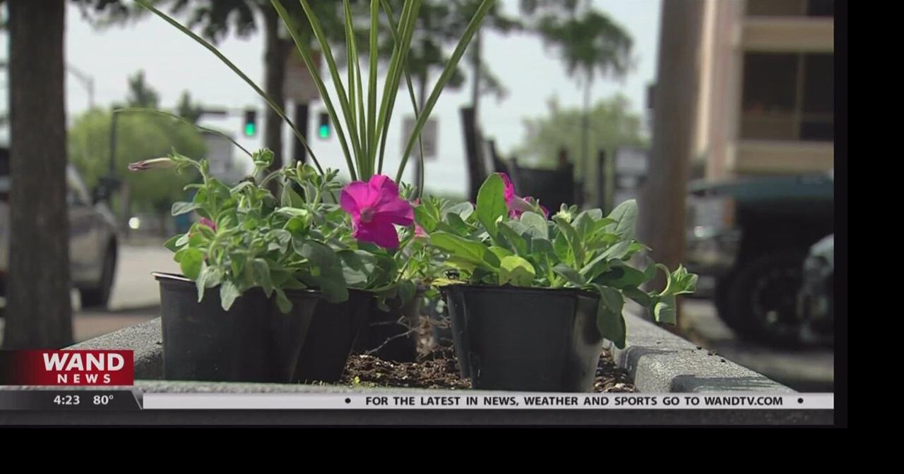 Iconic downtown Decatur planters installed | Videos | wandtv.com