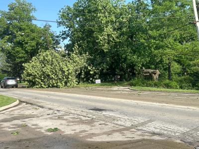 tree damage decatur 5-16-2025
