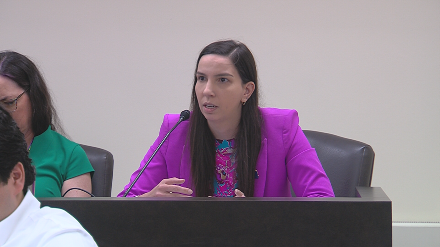 Rep. Anne Stava-Murray