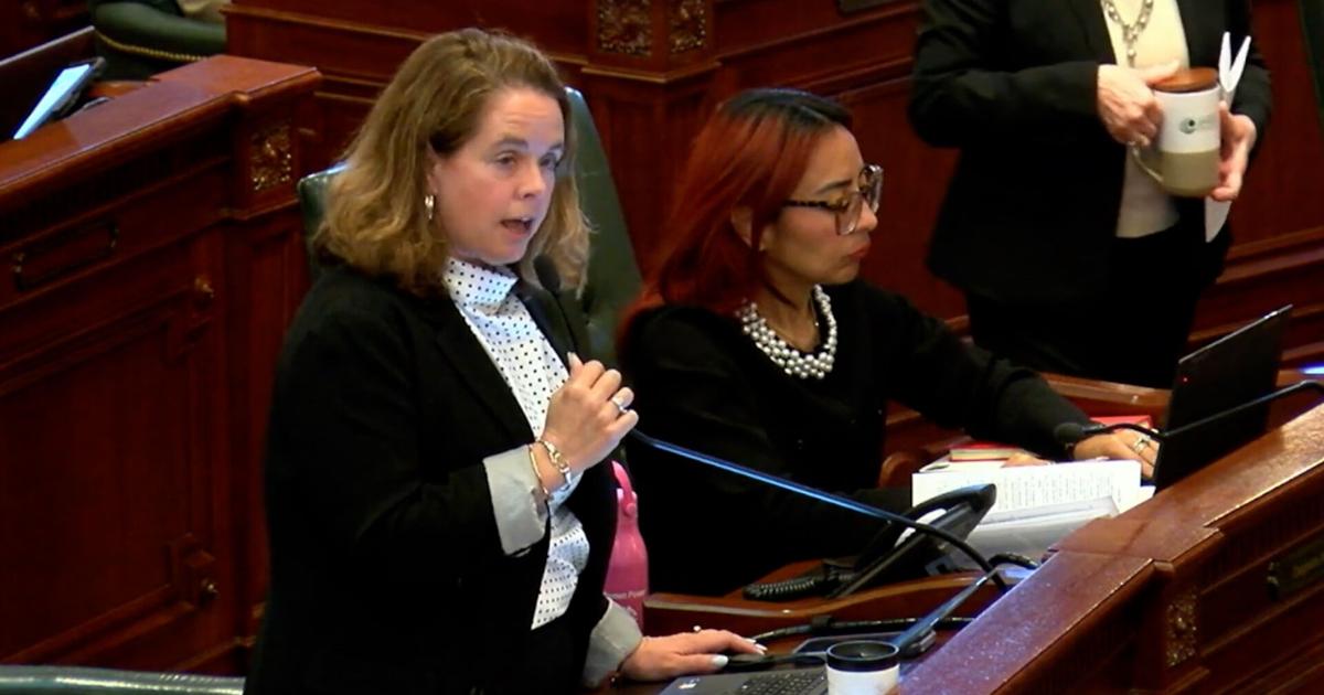 Rep. Maura Hirschauer