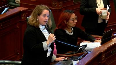 Rep. Maura Hirschauer