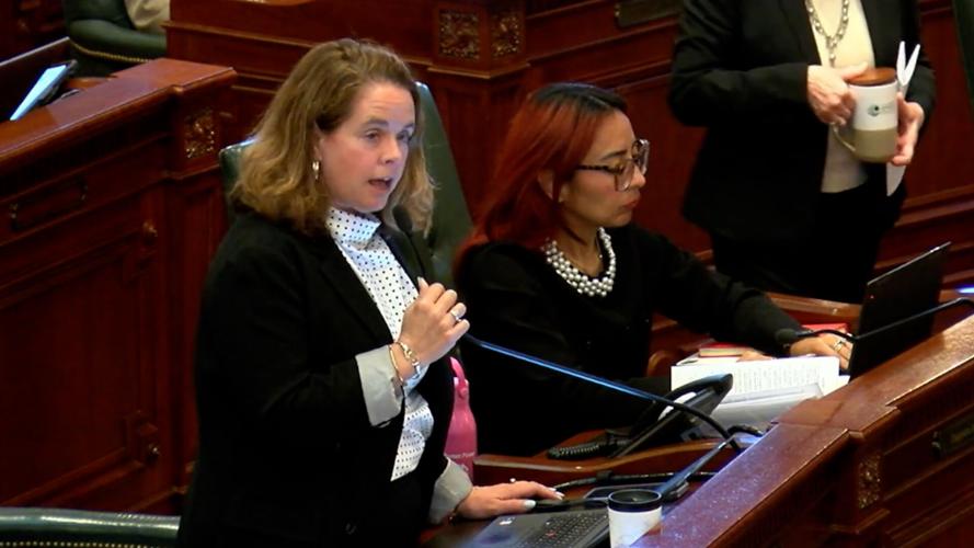 Rep. Maura Hirschauer