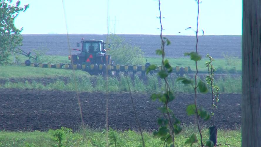 planting.jpg