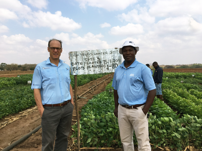 Peter Goldsmith (left) and Dennis Banda in Malawi at a site participating in the Soybean Innovation Lab’s Pan African Soybean Trials