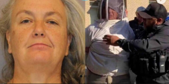 Woman charged with sending bee swarm on deputies at eviction | National |  wandtv.com